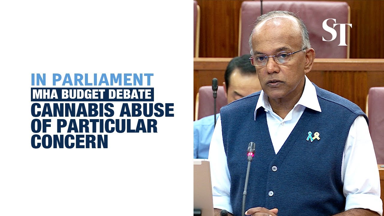 Cannabis abuse of particular concern with arrests at highest in a decade: Shanmugam