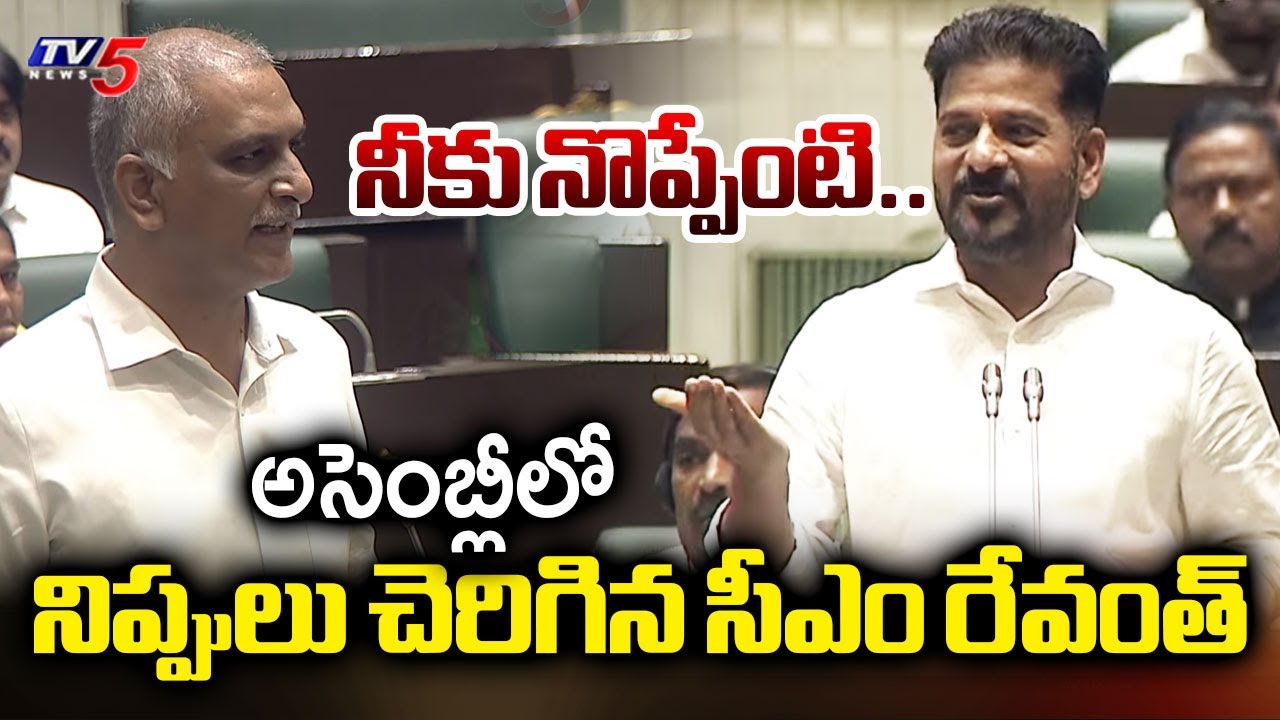 నీకు నొప్పేంటి..| CM Revanth Reddy AGGRESSIVE COMMENTS on Harish Rao | Telangana Assembly | TV5 News