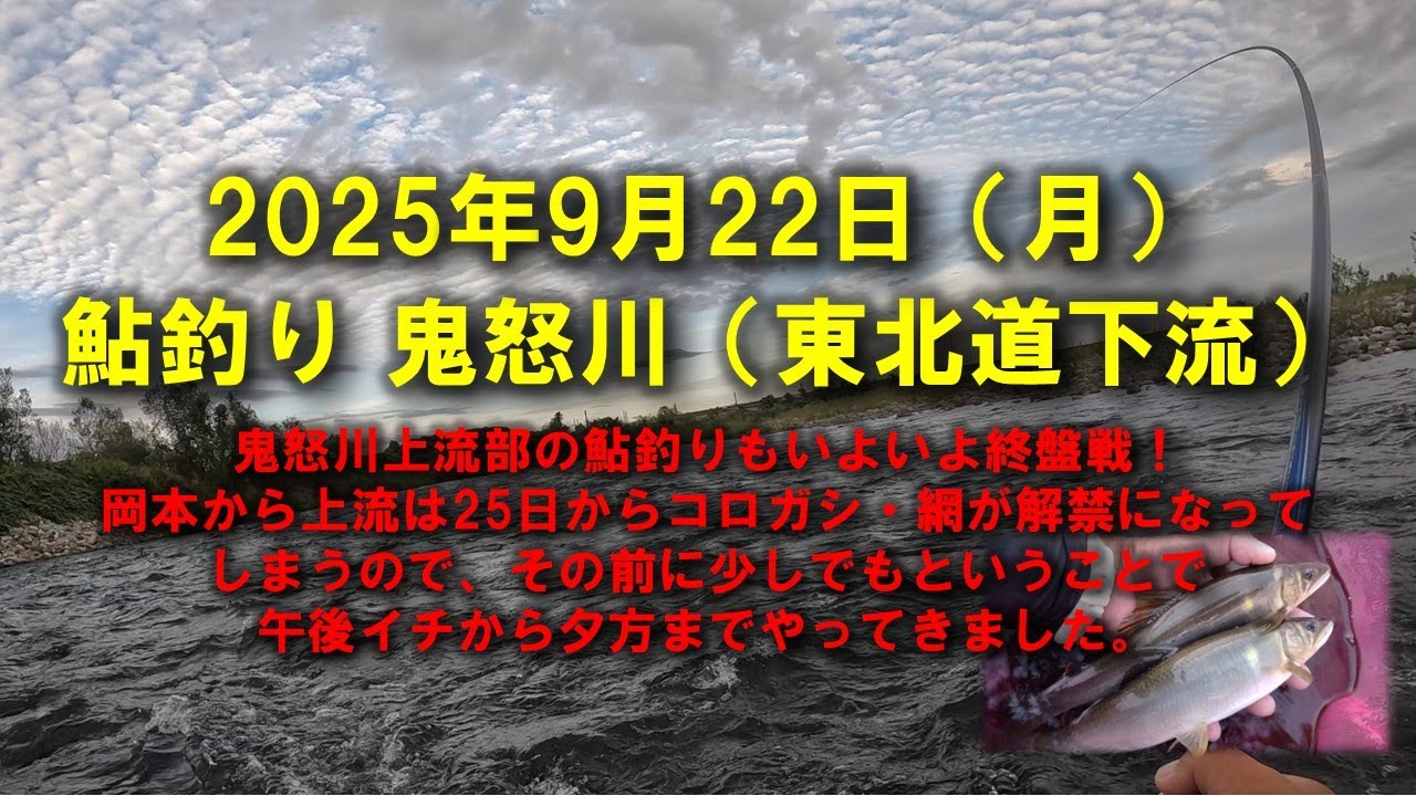 【2025鮎釣り】9月22日（月）2025鮎　鬼怒川釣行（東北自動車道下流）