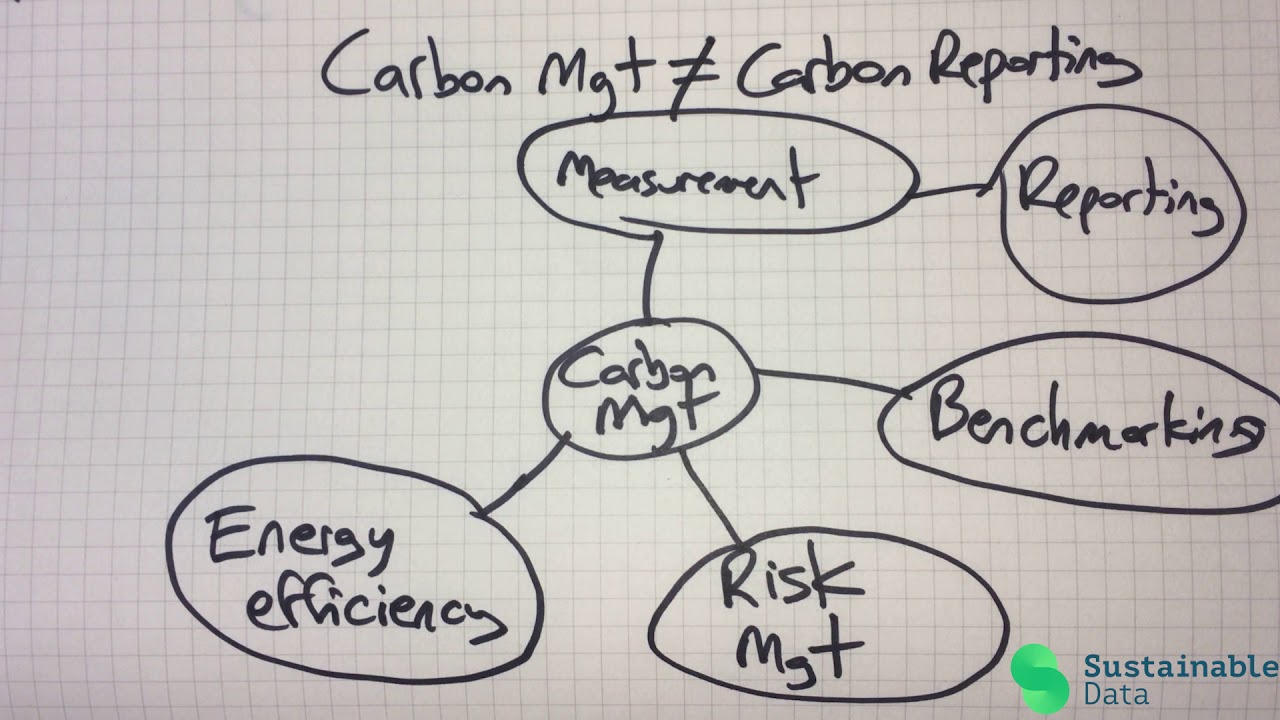 Carbon Management vs Carbon Reporting