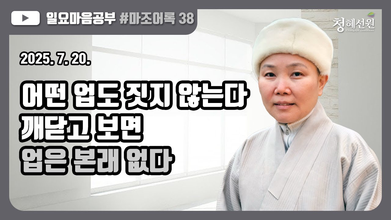 2025.07.20. [청혜선원] 일요공부ㅣ마조어록  제38회  30. 업을 짓지 않는다  