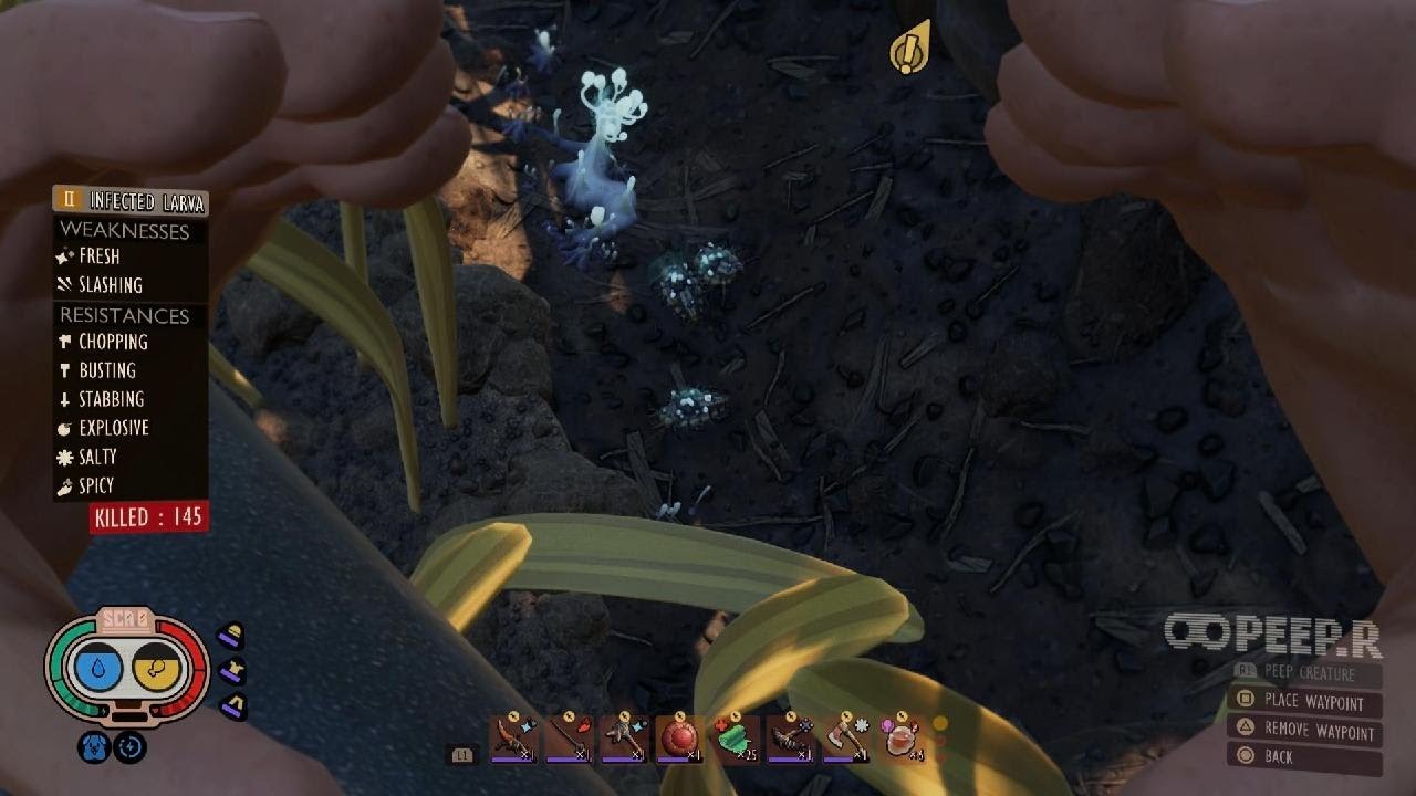 Broodmother