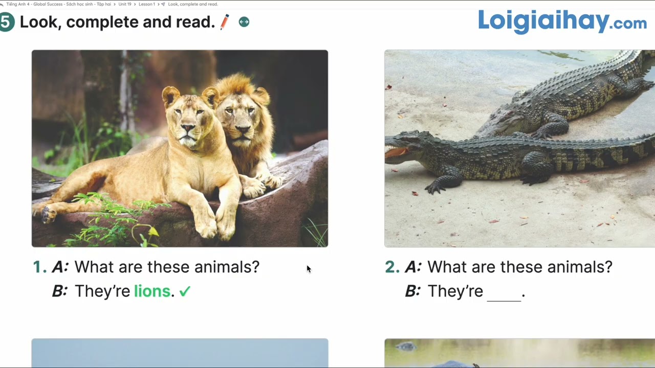 Unit 19: The animal world - Tiếng Anh 4 Global Success (Kết nối tri thức)