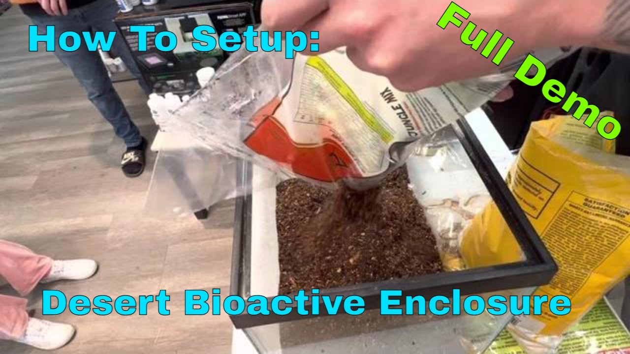 How To Setup: Desert Bioactive Enclosure
