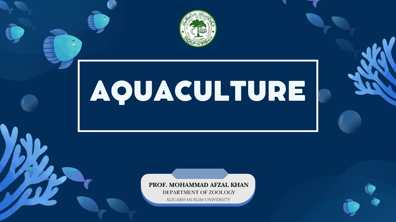 Management of water quality in aquaculture practice