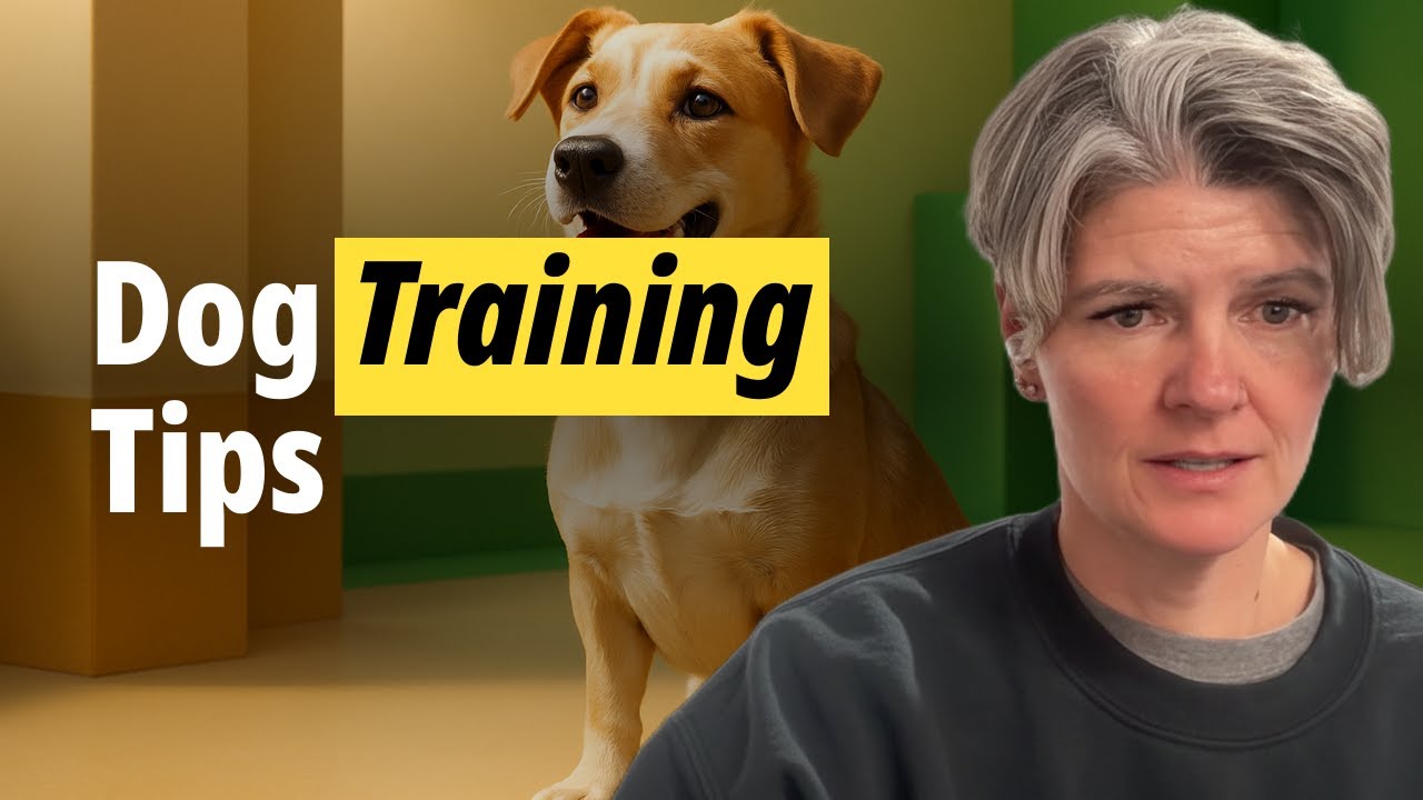 Dog not listening? Tips to start the change. #royalk9 #dogtrainingtips #dogtraining