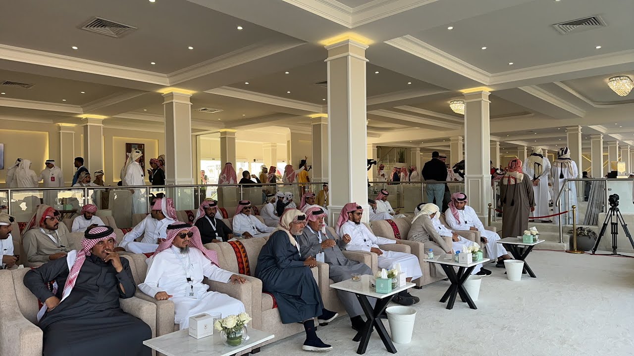 مزاين قطر بث مباشر اعلان نتائج الحقايق مجاهيم