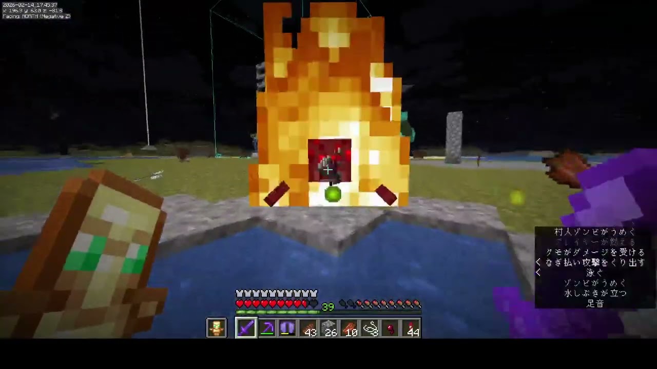 【マイクラ】ダイヤフルゾンビ