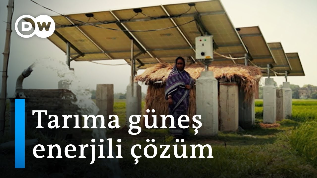 Hindistan güneş enerjisiyle tarımda büyüyor - DW Türkçe