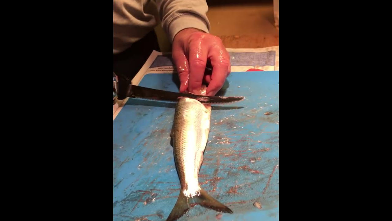 PICKLED HERRING RECIPE