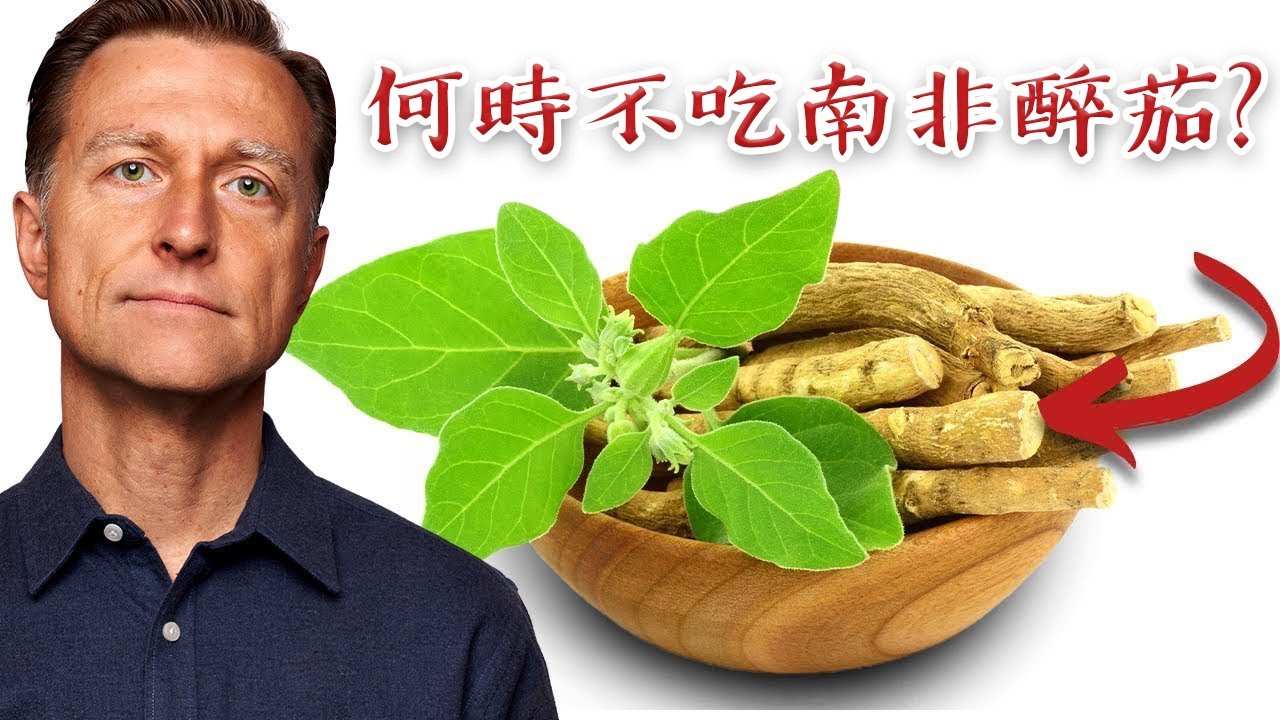 南非醉茄(ashwagandha)巨大好處、何時不吃,自然療法,柏格醫生 Dr Berg