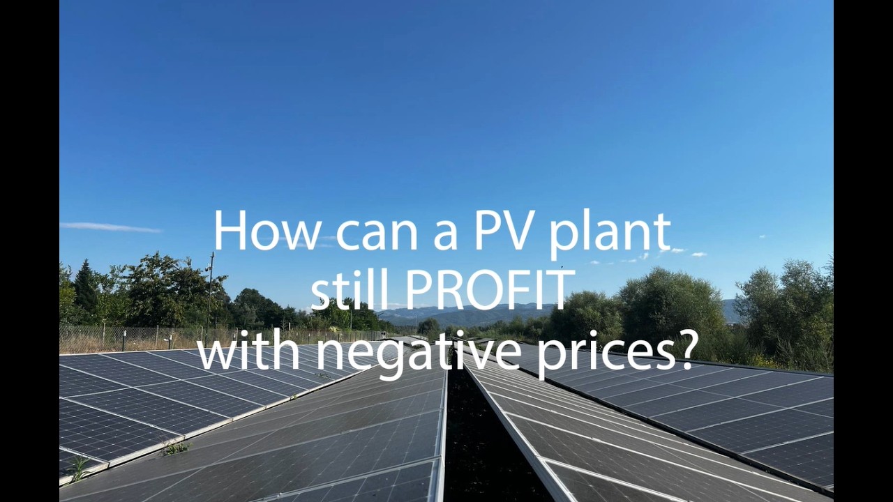 How a PV Plant Profits from Dynamic Energy Prices?