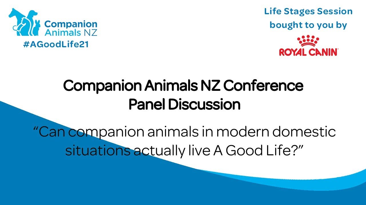 Can companion animals in modern domestic situations actually live A Good Life? - Panel Discussion