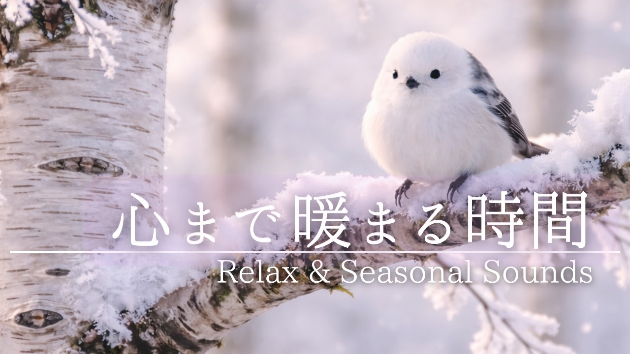 PianoBGMロング　早朝の白樺とシマエナガ｜心まで暖まる時間｜Relax & Seasonal Sounds