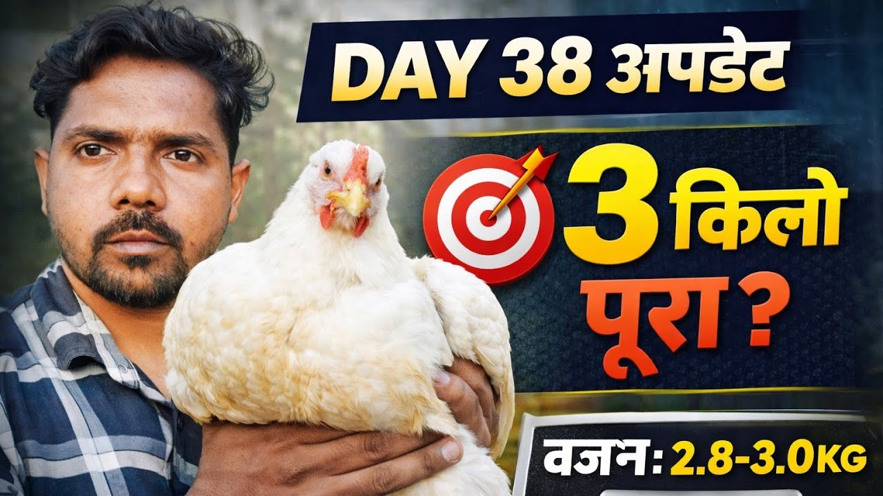 Bird Lifting में 90% लोग यही गलती करते हैं!