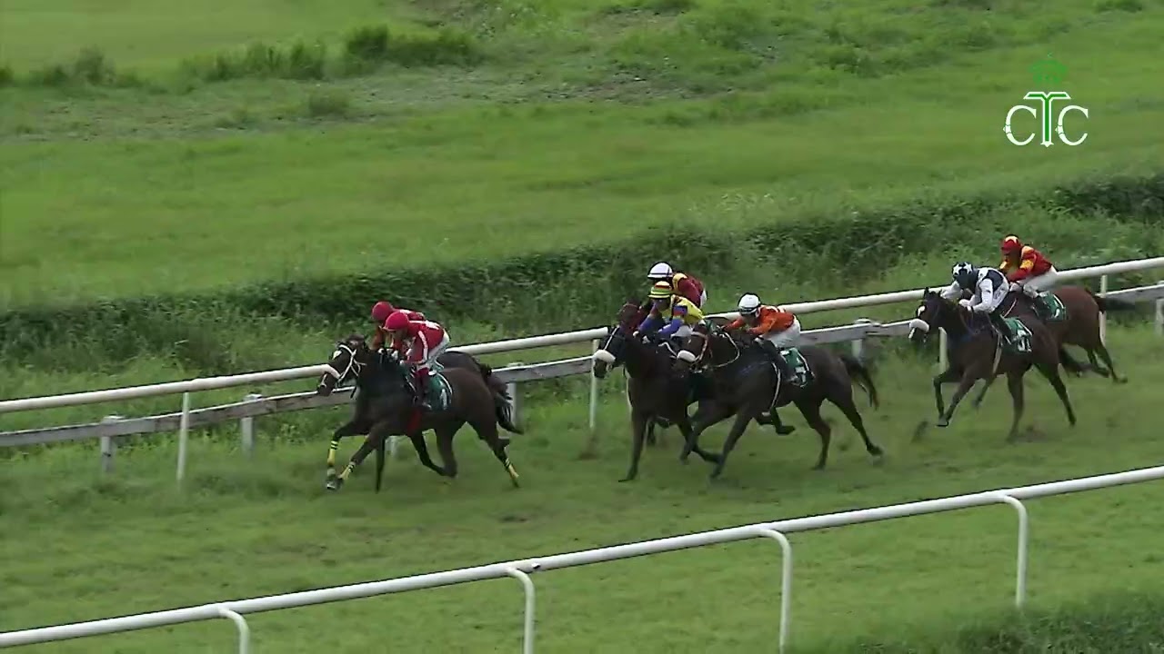 Race No 36 The Calcutta Fillies Trial Stakes