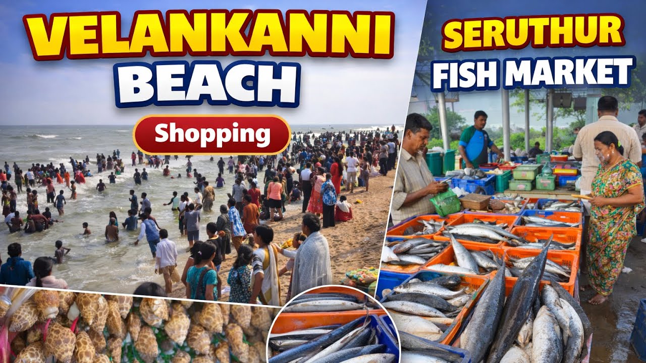 Meen Vanga Polaama? 🐟 Seruthur Market + Velankanni Beach Full Video 🌊 