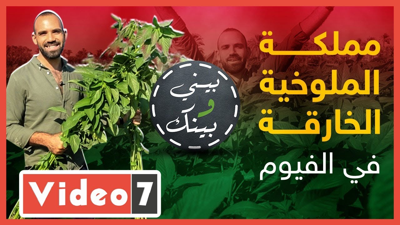الملوخية الخارقة طلعت حقيقية وهذه رحلتنا لمملكتها في الفيوم