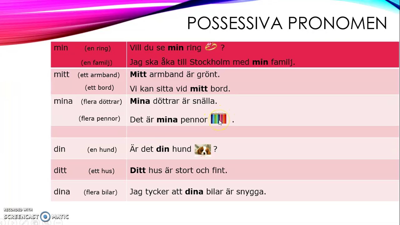 Possessiva pronomen