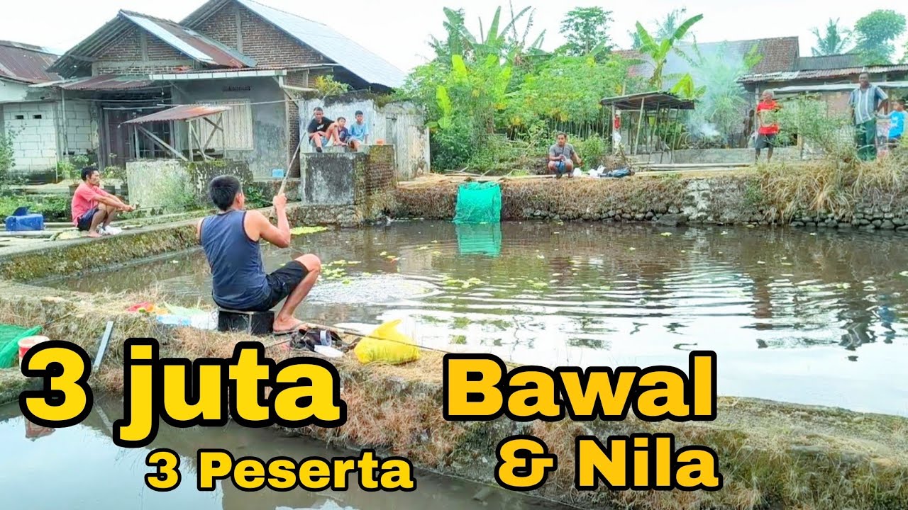 NEKAT ❗JAM 3 SORE BARU MULAI MANCING❗SUHU MAH BEBAS