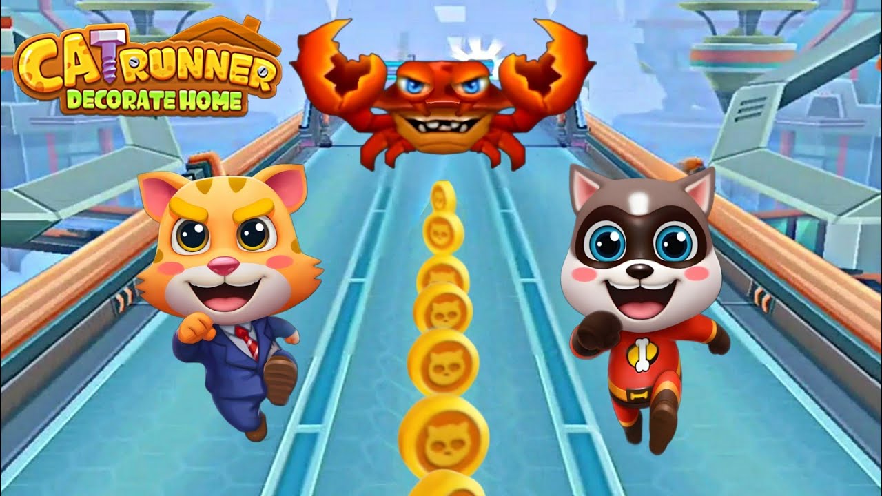 Cat Runner decorate home new challenge 💥💯
