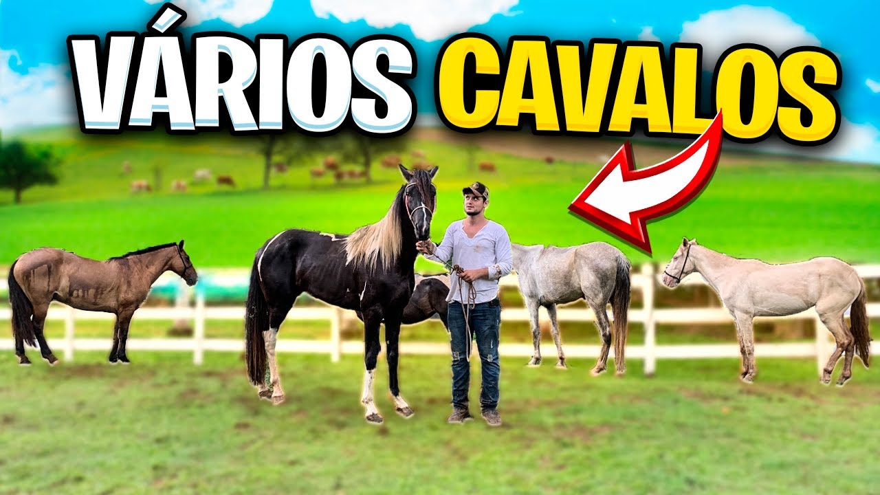 FECHANDO a TROPA de CAVALOS para os COWBOY TUBERS
