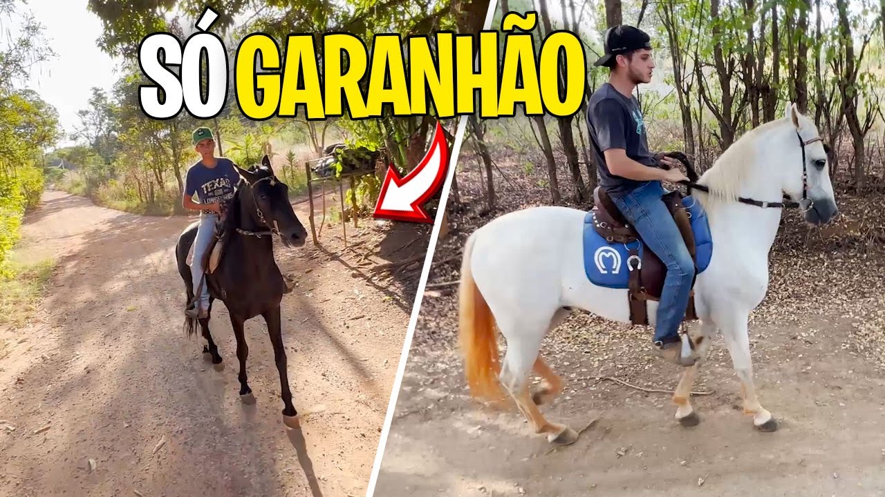 APOSTEI uma CORRIDA contra o VOLVERINE no meio da CAVALGADA