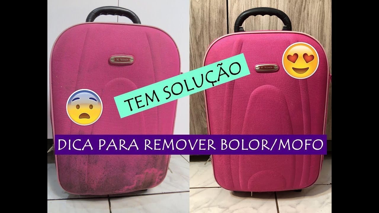 COMO REMOVER MOFO/BOLOR DE MALAS OU BOLSAS! 🧳 🎒