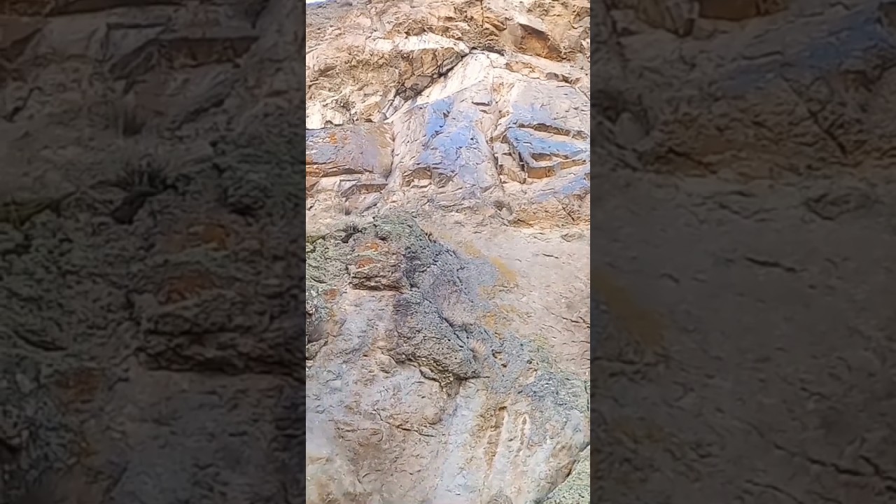 هر کس این قوچ زیبا را در کنار ورودی آشکار ببیند،پلمپ مخفی را هم خواهد دید