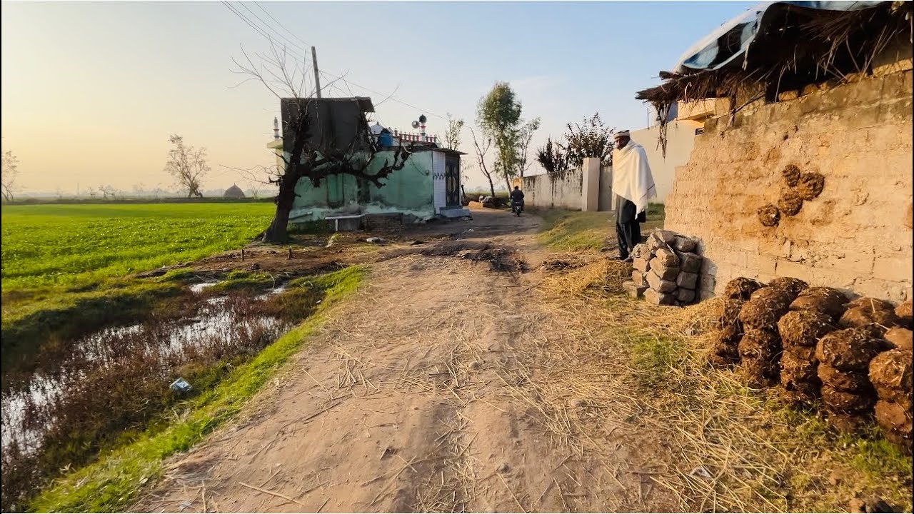 Village Life in Bajwat Episode 03 | Bajwat Bike Tour | Zia Ahmad Awan 