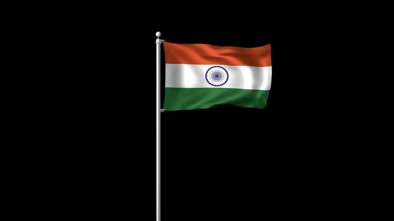 Indian Independence Day Tiranga Celebration | Free Stock Footage Download