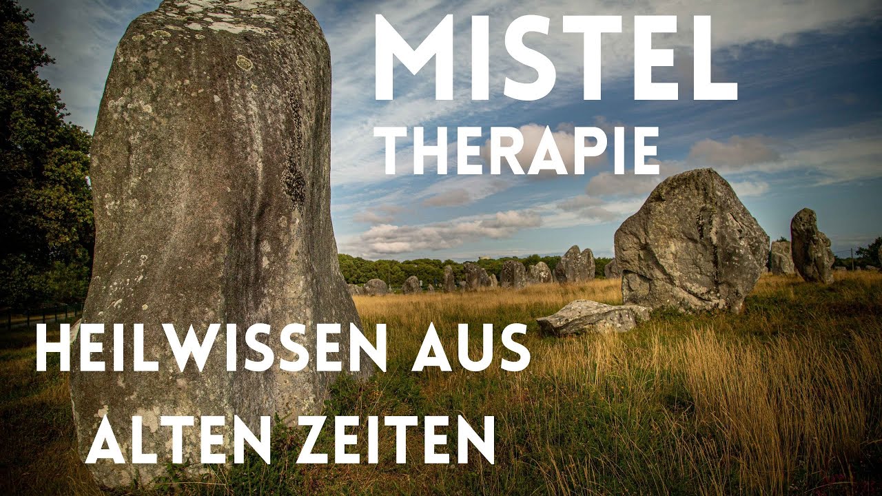 MISTEL Therapie - eine besondere Medizin