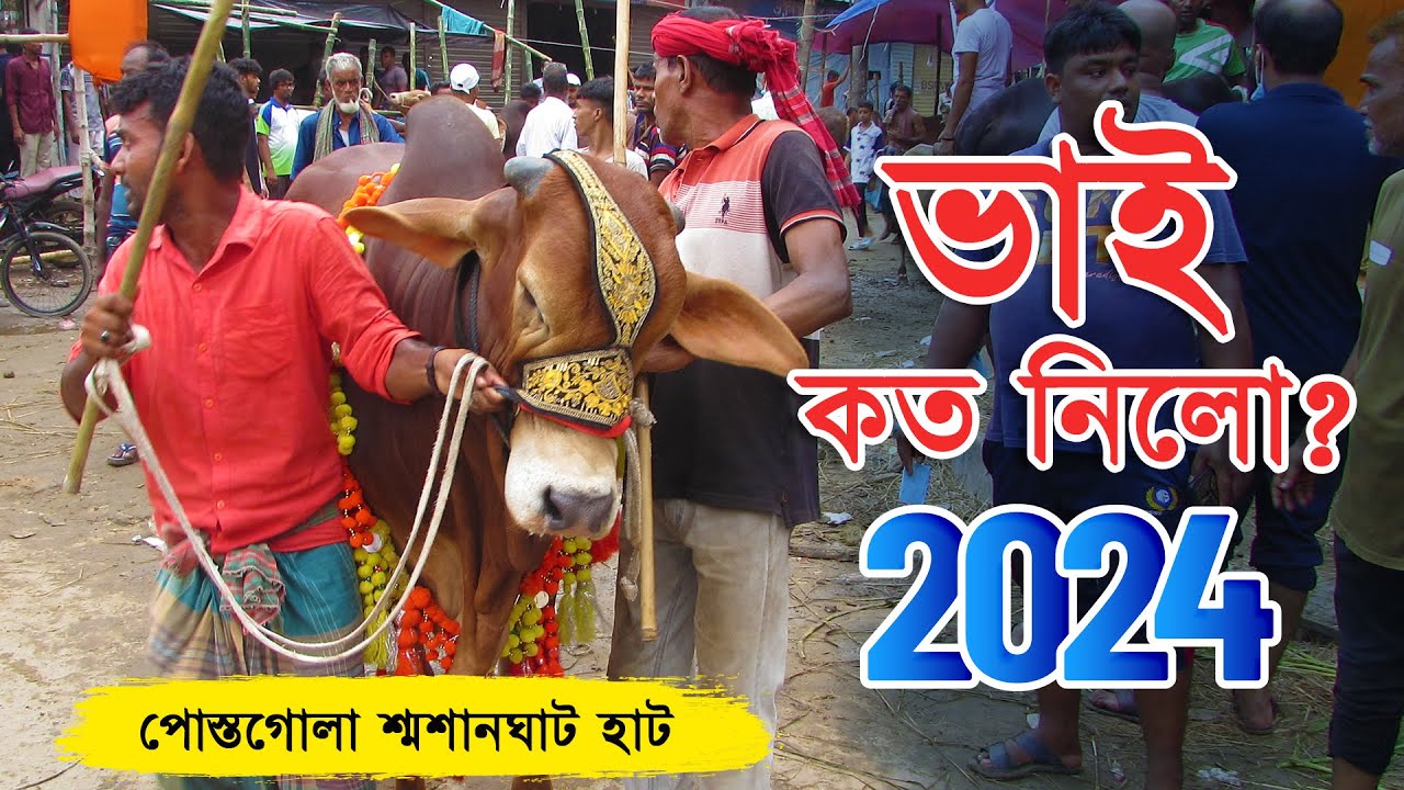 Bhai Koto Nilo 2024 | Postogola Shoshanghat Cattle Market | Qurbani Cow Price 2024 | Haat Updates