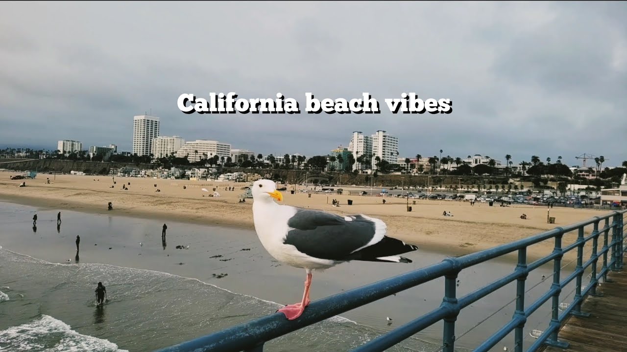 California Beach Vibes