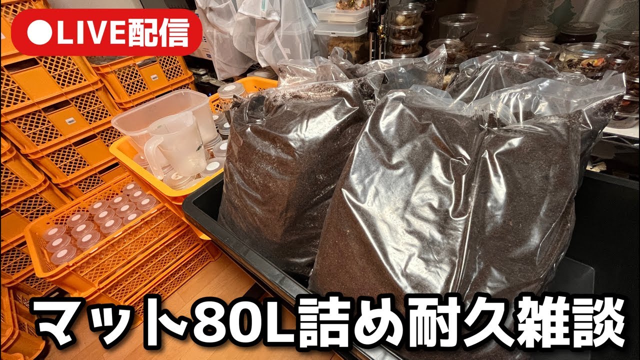 誰よりもマットを詰めれば全部解決する