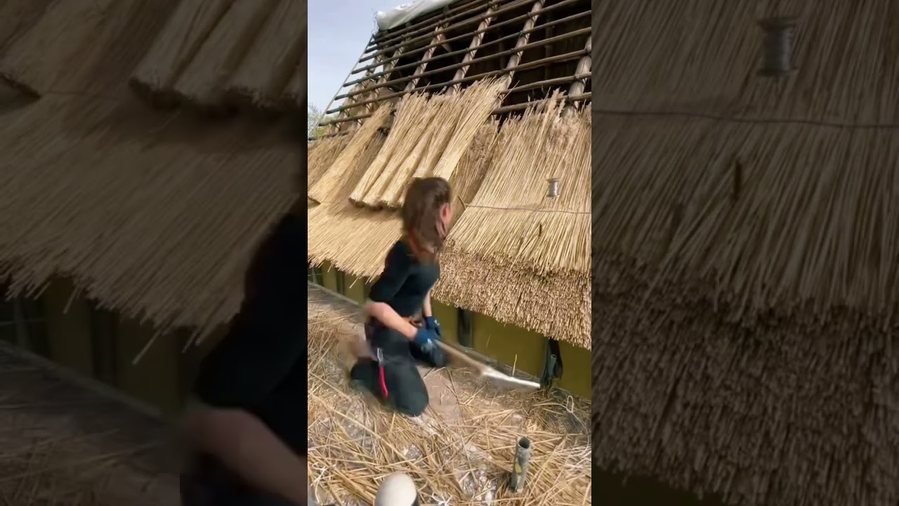 Dachdeckerin Moira beim Eindecken eines Reetdachs #dachdecker #handwerk #4u #rooftop #diy