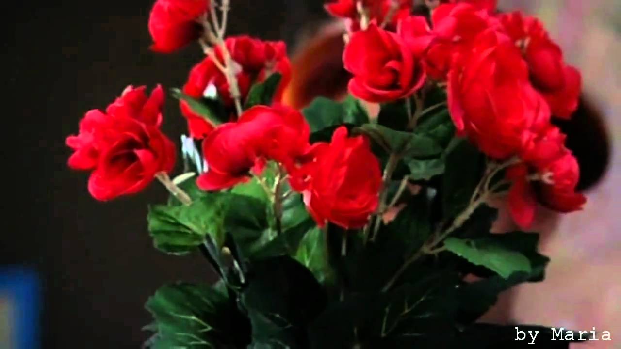 Глухарь: Я его поцеловала