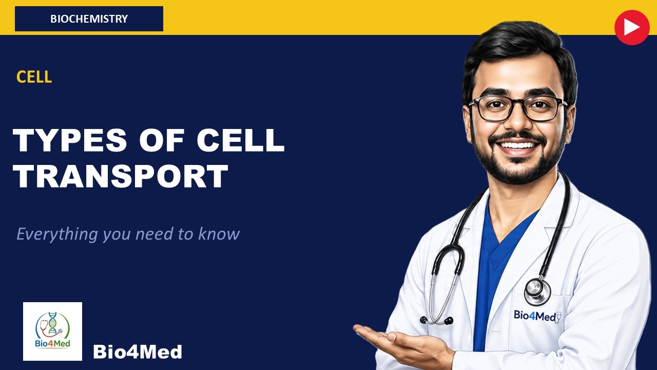 Cell Transport-Everything you need to know