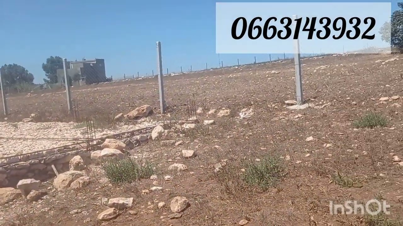 ارض للبيع ارواحي جديدة بن معاش همزه جماعه سيدي حسين عبد الرحمن  1600 مترو غير 10 مليون0663143932