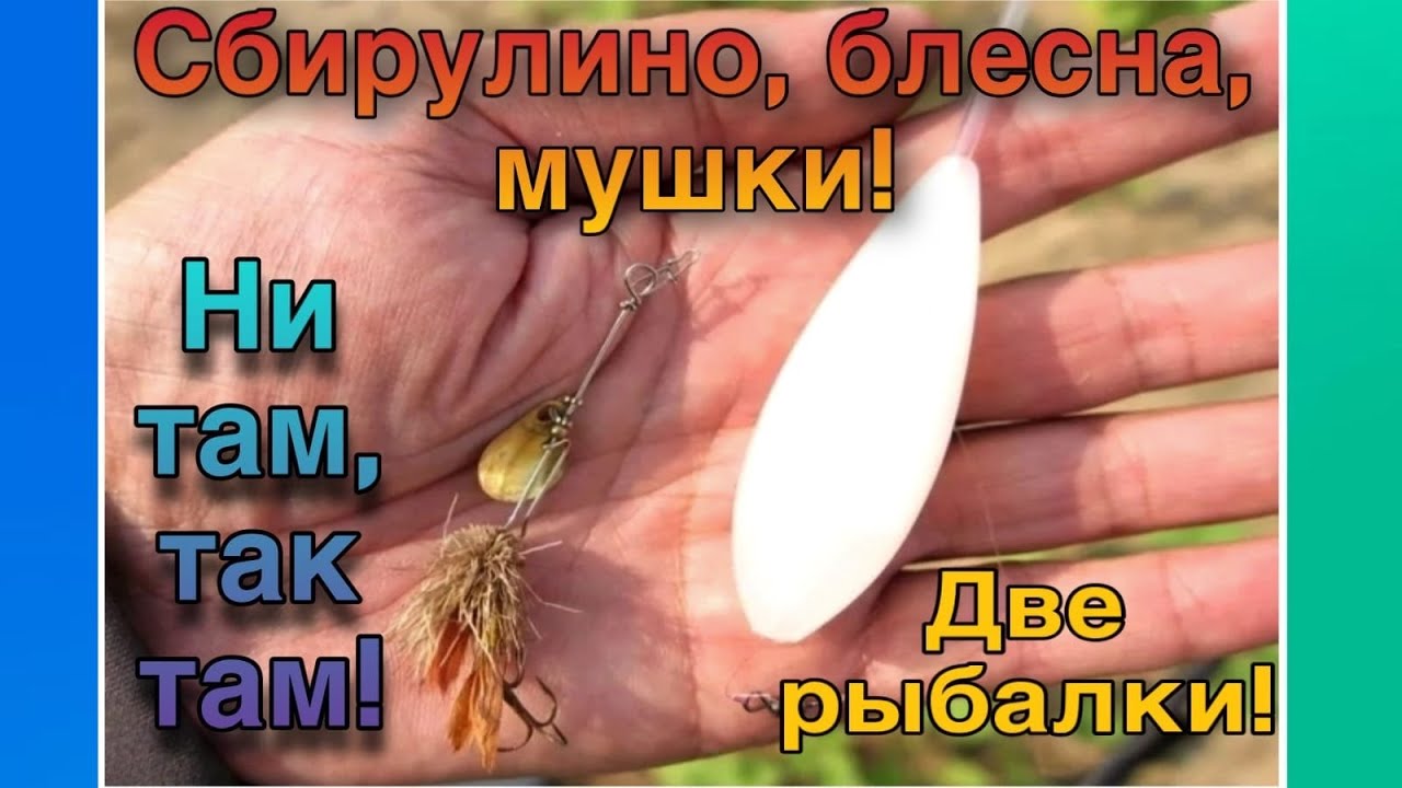 Сбирулино,блесна,мушки! Две рыбалки!