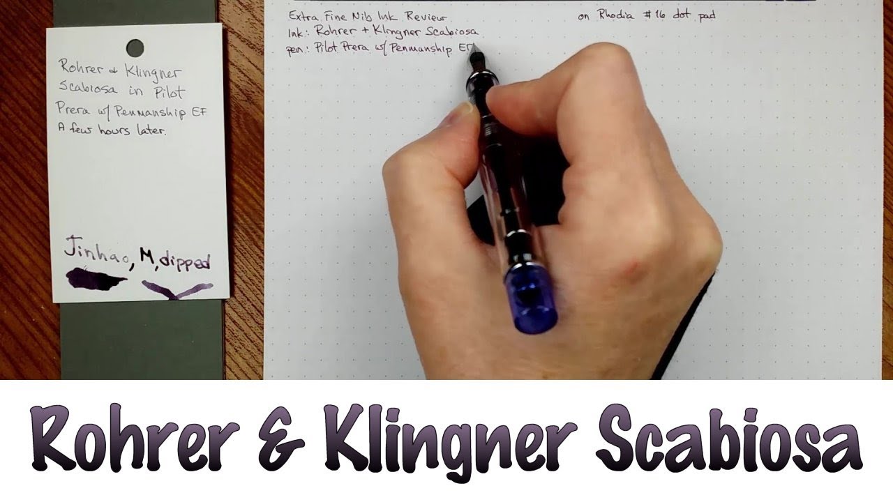 Rohrer & Klingner Scabiosa
