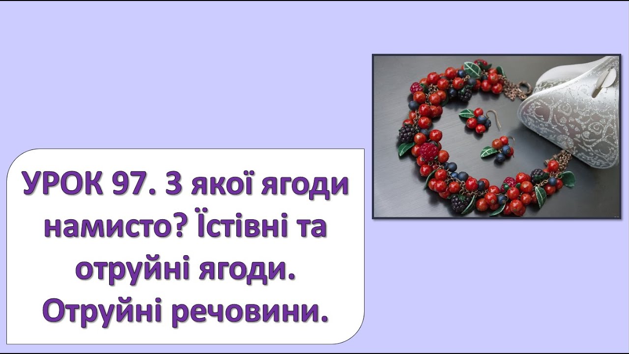 ЯДС 2 клас. Урок 97. З якої ягоди намисто? Їстівні та отруйні ягоди. Отруйні речовини.