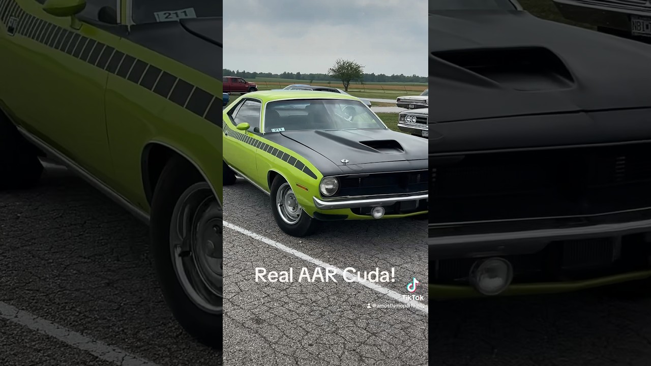 1970 Cuda AAR 70 Plymouth barracuda dodge challenger TA charger roadrunner Mopar 71 1971 340 440 69