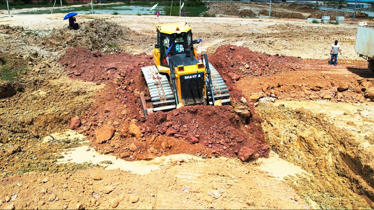 Best SHANTUI Bulldozer Work Pushing Soil With 24ton Dump Trucks dumping Soil build foundation road