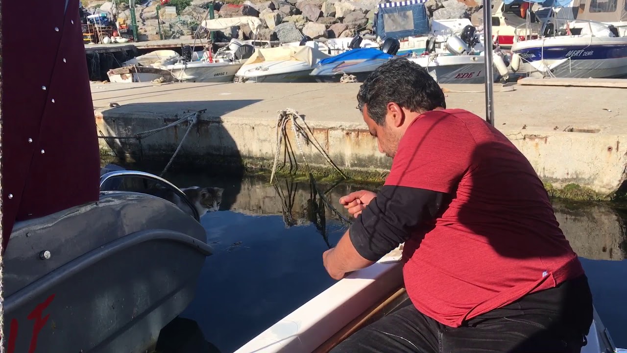 LAPİN AVI
