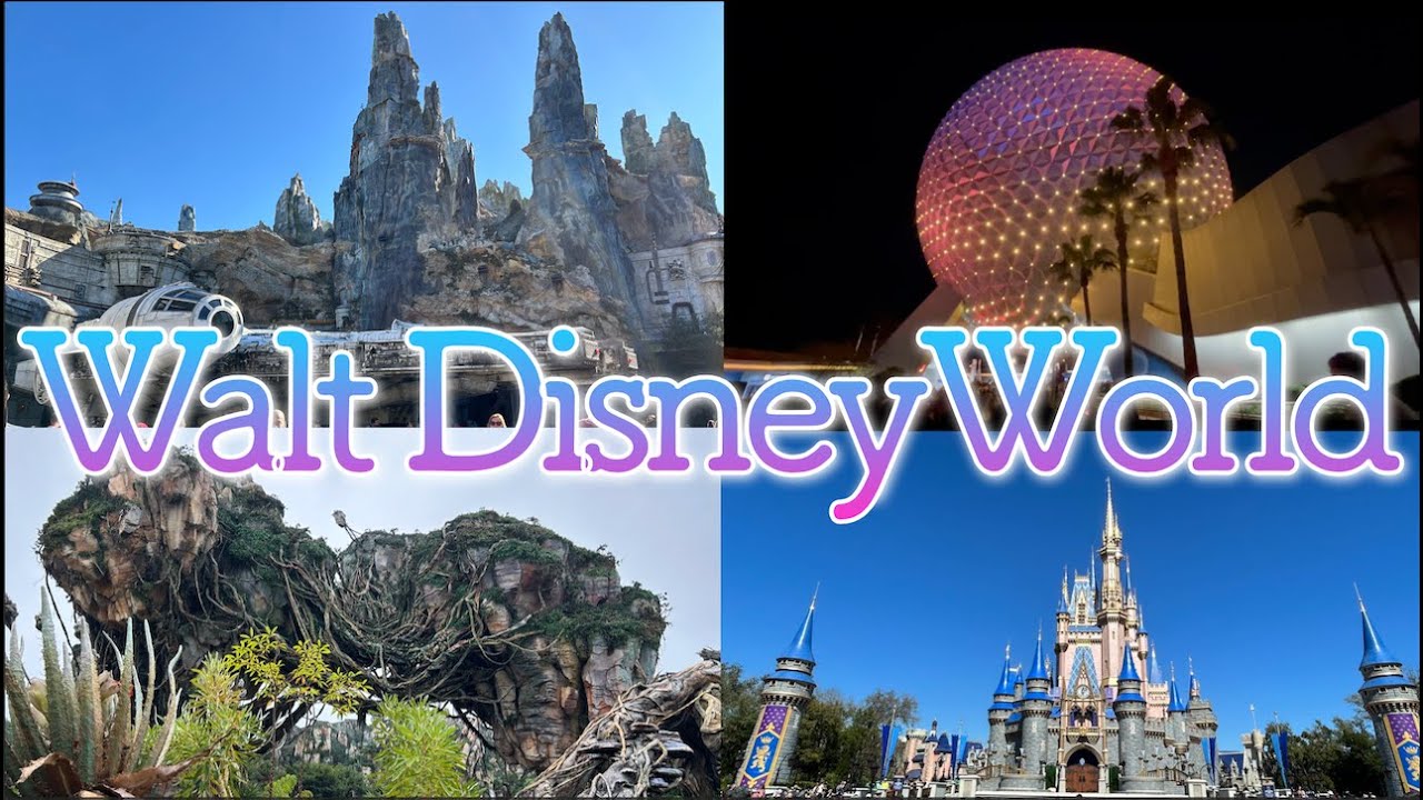 【完全版】フロリダディズニーワールドに行ってきた！