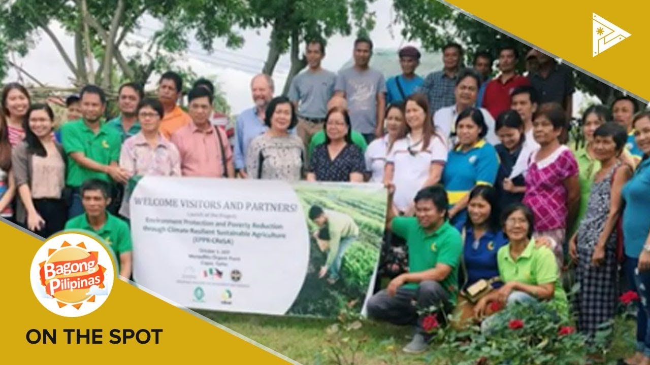 ON THE SPOT: Kahalagahan ng NGOs sa lipunan
