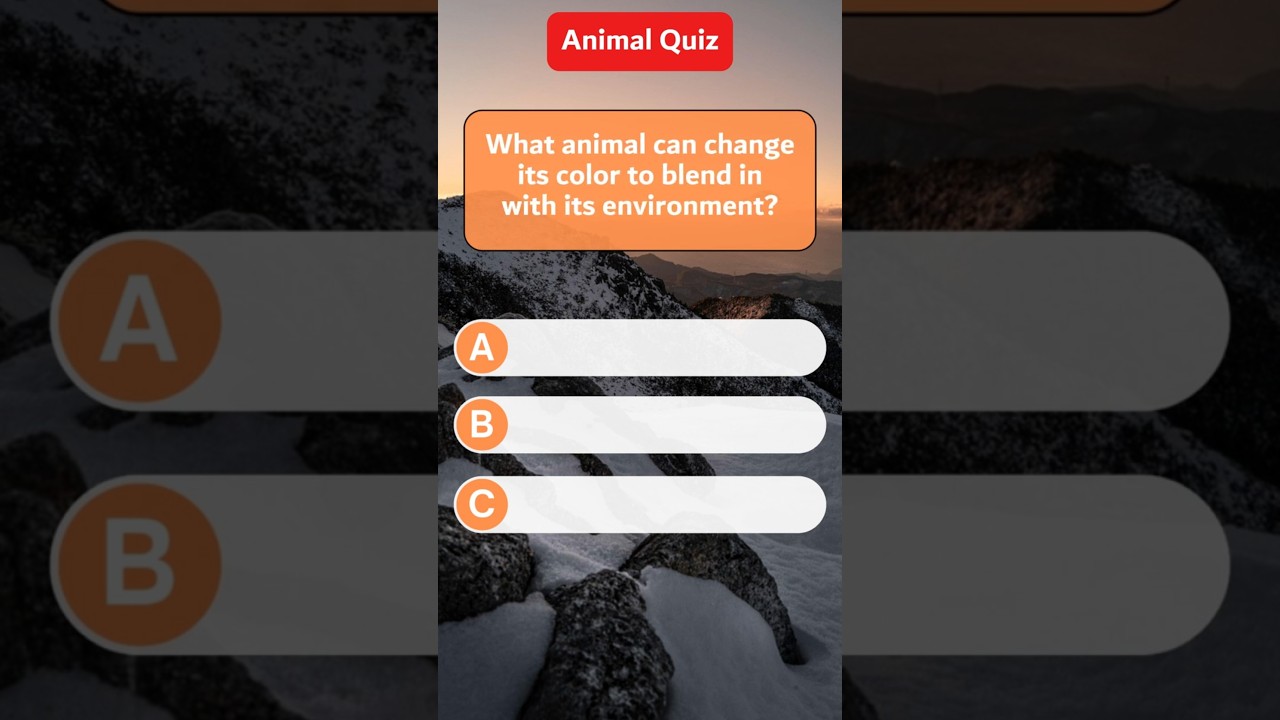 Animal Quiz: Can you answer all the questions? #animalquiz  #animalquizgame #animals #animalguessing