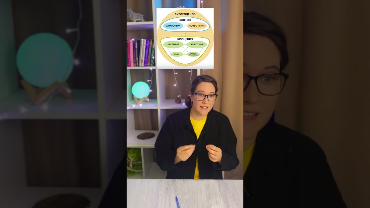 Термин дня для ЕГЭ по био! Биогеоценоз