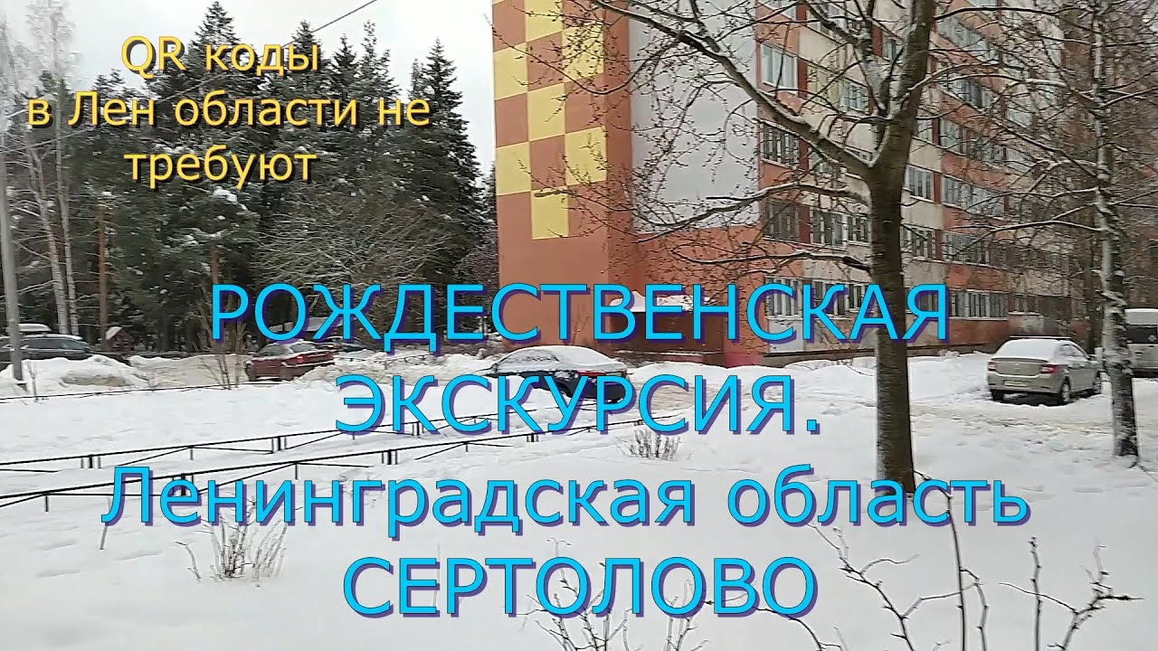 #сертолово СЕРТОЛОВО перед Рождеством 2022 .ЛЕНИНГРАДСКАЯ ОБЛАСТЬ. QR коды не требуют.